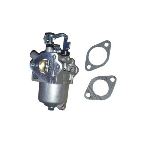 Vergaser Robin EX30, Rüttelplatte Verdichter, Wasserpumpe